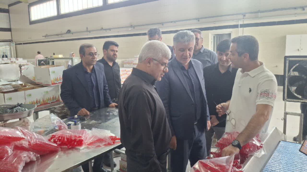 حمایت از تولید و سرمایه‌گذاری؛ بازدید میدانی مسئولان استانی از واحدهای تولیدی و گردشگری آزادشهر